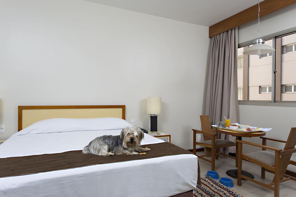 Stream Palace Hotel (Adults Only) Ribeirão Preto Esterno foto